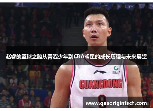 赵睿的篮球之路从青涩少年到CBA明星的成长历程与未来展望